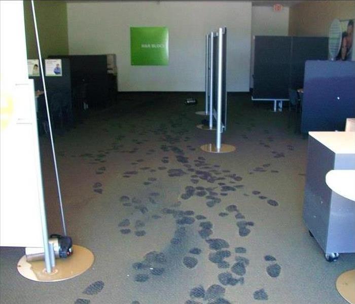 Foot Prints Tracked Through Room covered in Muddy Water